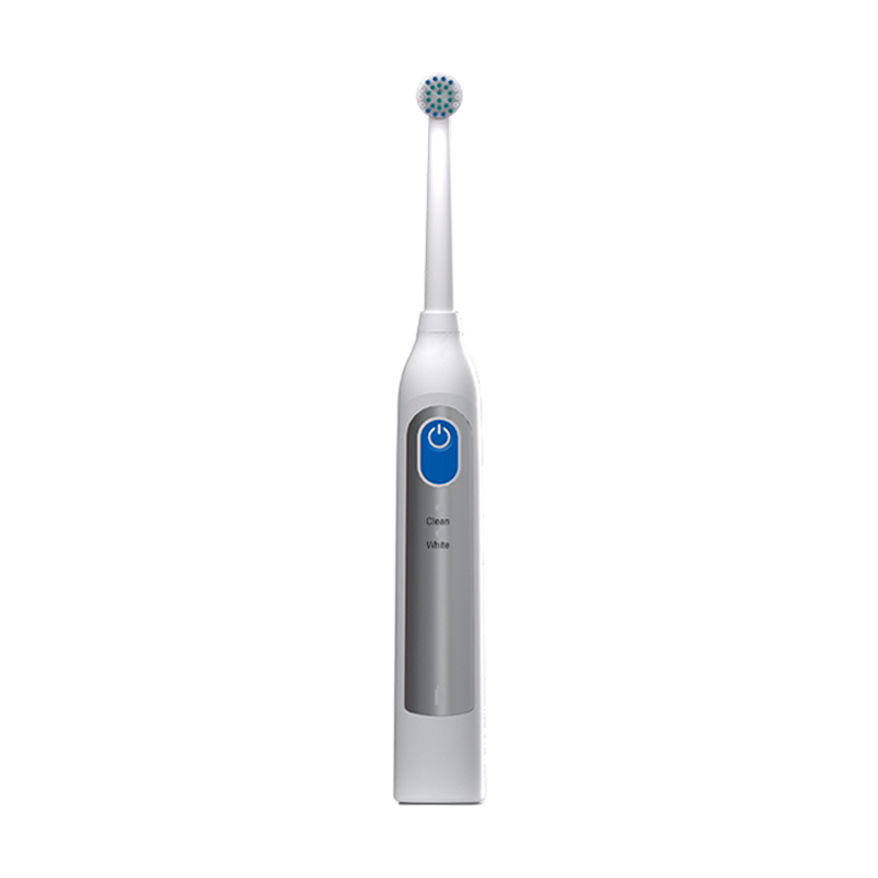 Alb-916-2 Nettoyage de brosse à dents électrique rotative rechargeable et blanchiment IPX7